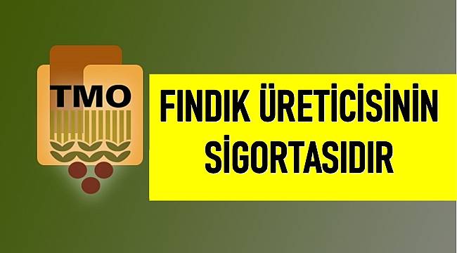 Genel Müdür Gürdal: Fındık alım kriterlerini esnettik