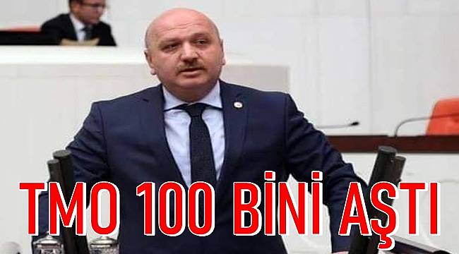 Gündoğdu: TMO 30 TL'den fındık aldı