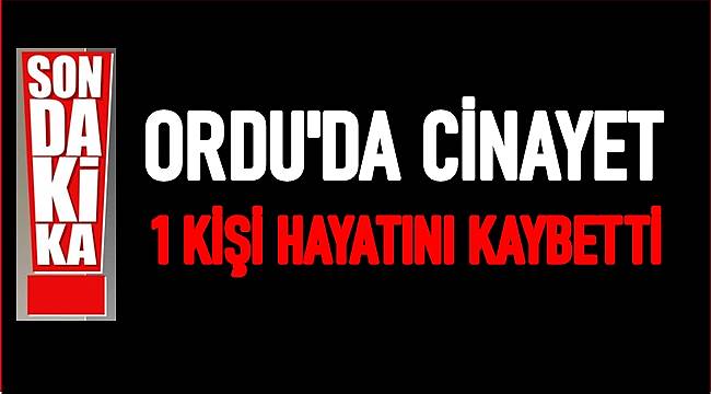 Ordu'da 1 kişi fındık bahçesinde vurularak öldürüldü