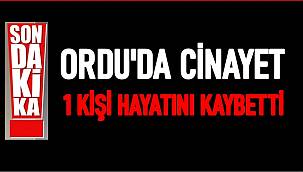 Ordu'da 1 kişi fındık bahçesinde vurularak öldürüldü