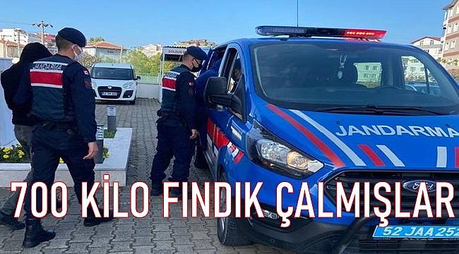 Ordu'da 700 kilo fındık çalan 3 şüpheli yakalandı