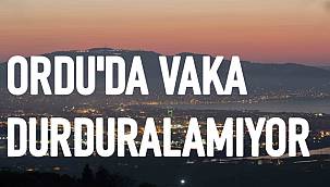 Ordu'da günlük vaka sayısı 530'a ulaştı