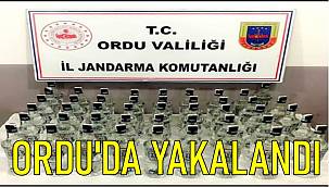 Ordu'da sahte içki operasyonu