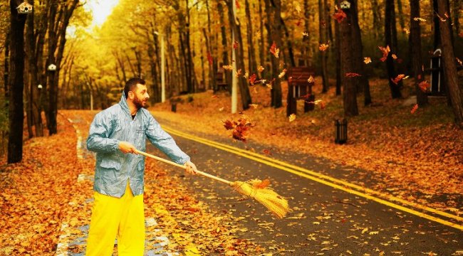 Sakarya Ormanı'nda sonbahar