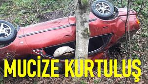 Ordu'da şarampole yuvarlanan otomobil ağaca takılıp kaldı, sürücüsü yaralı kurtuldu