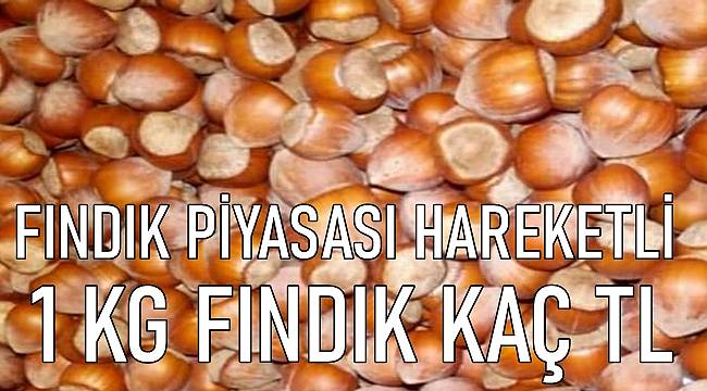 Serbest piyasada fındık fiyatları  ne kadar oldu?
