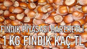 Serbest piyasada fındık fiyatları  ne kadar oldu?