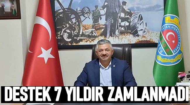 Soydan: Fındıkta maliyetler arttı ama 170 TL'lik destek ödemesi 7 yıldır artmadı