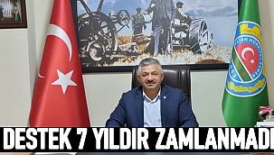 Soydan: Fındıkta maliyetler arttı ama 170 TL'lik destek ödemesi 7 yıldır artmadı