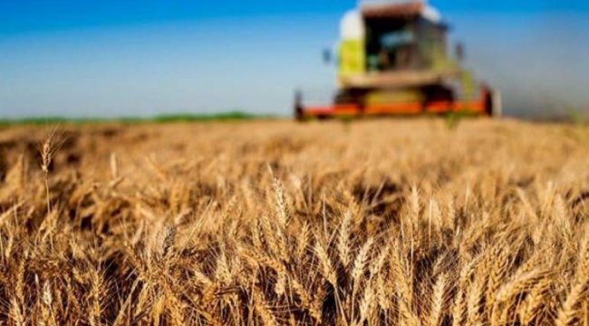 Tarım&#039;da destek ödemeleri hesaplarda