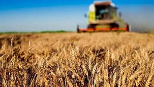 Tarım'da destek ödemeleri hesaplarda