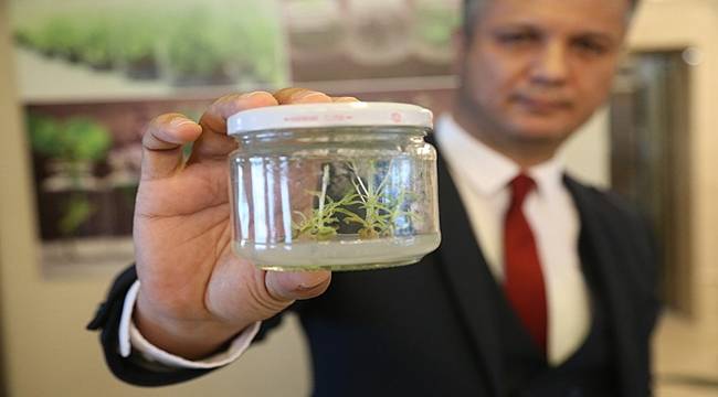 TARIMDA ÇIĞIR AÇAN ÇALIŞMA