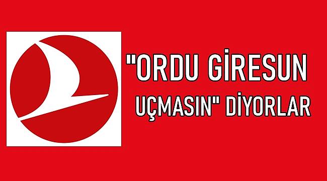 Türk Hava Yolları Ordu Giresun&#039;u zor durumda bıraktı