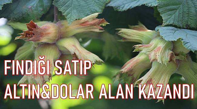 10 Aralık Cuma Fındık Fiyatları