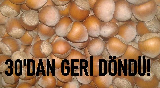 11 Aralık Cumartesi Fındık Fiyatları