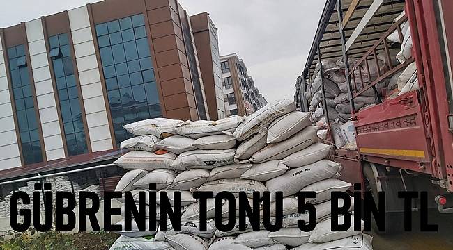 Ordu'da Altınordu Ziraat Odası fındık üreticileri için gübre satışı yapıyor