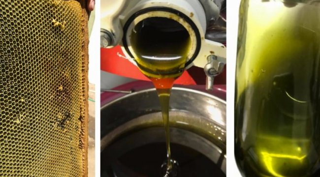 Bursa'da akademisyenler fonksiyonel bal üretti