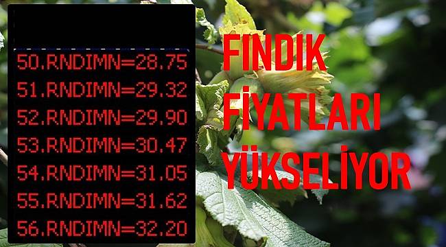 Fındık fiyatları yükseldi