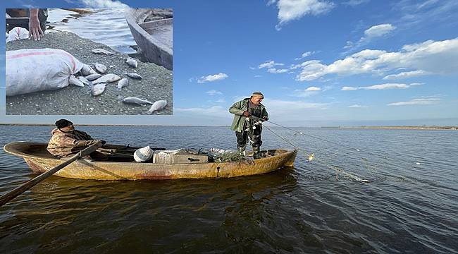 İsrail sazanı avlayanlar para kazanıyor
