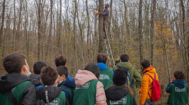 Kocaeli Ormanya'da yaban hayatı yakından tanıdılar