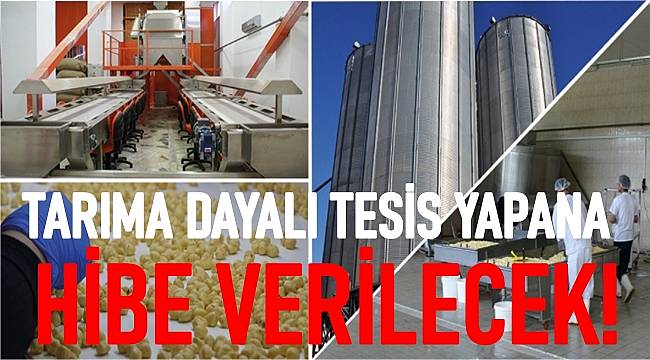 Ordu'da fındık deposu yapana hibe verilecek