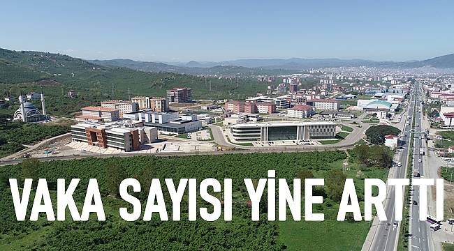 Ordu'da günlük vaka sayısı 450'yi geçti