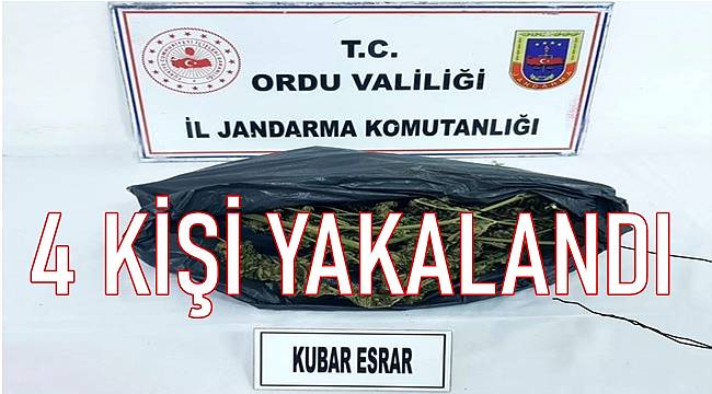 Ordu'da uyuşturucu operasyonunda 4 kişi yakalandı