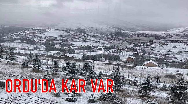 Ordu'da yaylalarda kar var