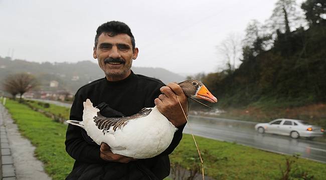 Yolda bulduğu kazı besleyip doğaya bıraktı