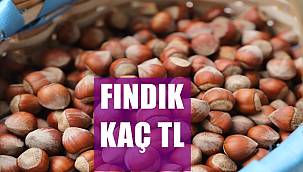 16 Mart 2022 Çarşamba Fındık Fiyatı