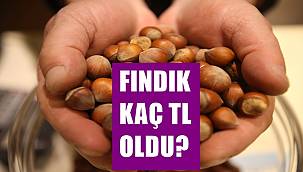 18 Mart Cuma fındık fiyatı kaç lira