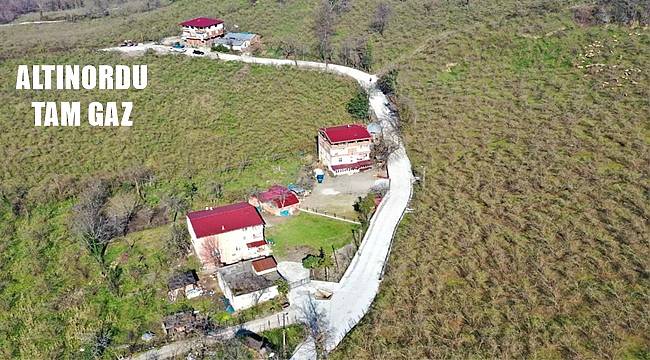 Altınordu start verdi