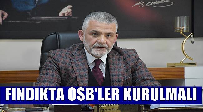 Fındık için Organize Sanayi Bölgesi kurulması isteniyor