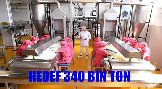 Fındık ihracatında hedef 340 bin