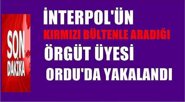 İnterpol&#039;ün kırmızı bültenle aradığı örgüt üyesi Ordu&#039;da yakalandı