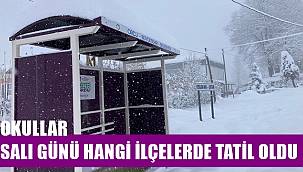 Ordu'da 15 Mart Salı günü hangi ilçelerde okullar tatil oldu