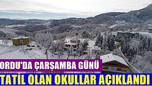 Ordu'da 16 Mart Çarşamba günü tatil olan okullar açıklandı