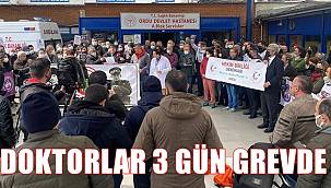 Ordu'da doktorlar greve gitti vatandaş mağdur oldu