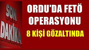 Ordu'da düzenlenen FETÖ operasyonunda 8 kişi gözaltına alındı
