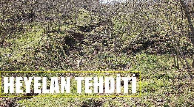 Ordu'da heyelanda fındık bahçesi zarar gördü