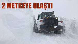 Ordu'da kardan kapanan 116 mahalle yolu ulaşıma açıldı
