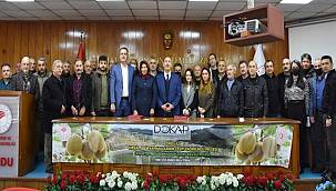 Ordu'da kivi dikim alanları genişliyor