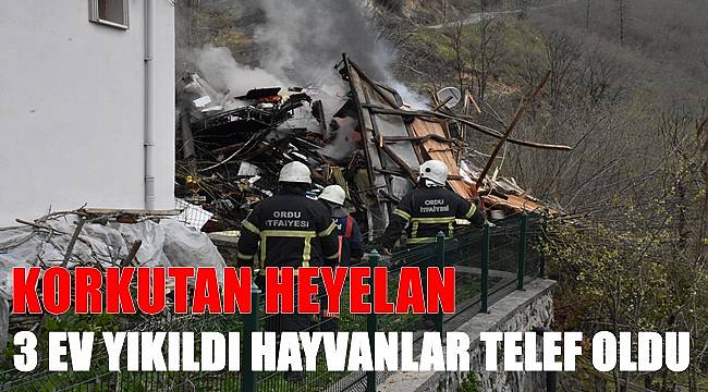 Ordu'da korkutan heyelan; evler yıkıldı ,hayvanlar telef oldu