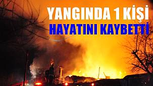 Ordu'da tüp patlaması sonucu ev yandı 1 kişi hayatını kaybetti