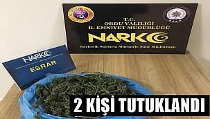 Ordu'da uyuşturucu operasyonunda yakalanan 2 kişi tutuklandı