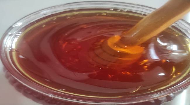 Ordu&#039;dan 444 bin ton bal ihraç edildi