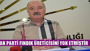 Şahin: AK Parti fındığı yabancılara peşkeş çekmiştir