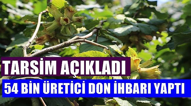 54 bin  üretici fındık için hasar  ihbarında bulundu