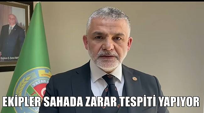 Akça; Ekipler sahada fındıktaki hasarı tespit ediyor