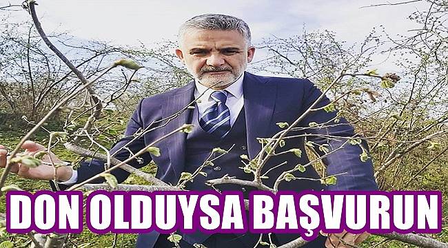 Akça: Fındığı hasar gören üretici TARSİM'e başvursun